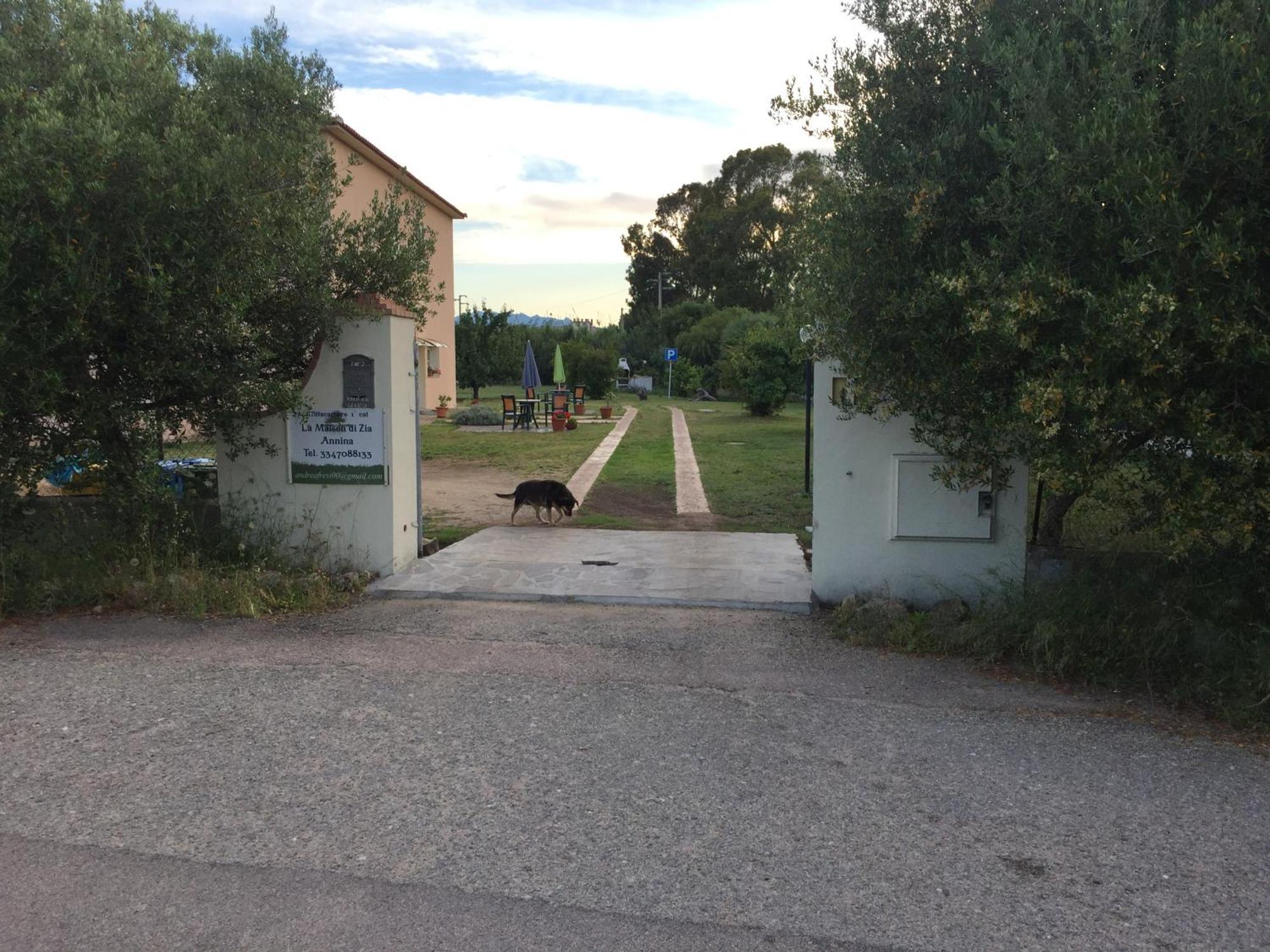 Hotel La Maison Di Zia Annina In Sardegna Olbia Exteriér fotografie