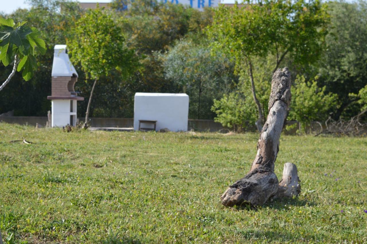 Hotel La Maison Di Zia Annina In Sardegna Olbia Exteriér fotografie